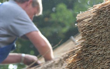 professional Abbey Field thatchers